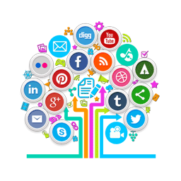 Social Media Marketing in Ludhiana