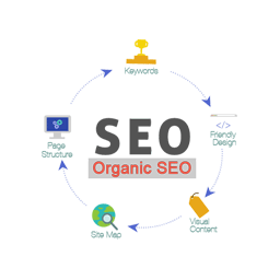 SEO Marketing Services in Ludhiana